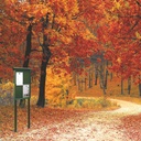 Panel Galaxia Exterior 4x DIN A4