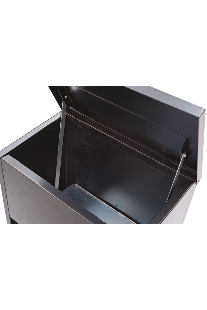 Buzón Paquetería Everest