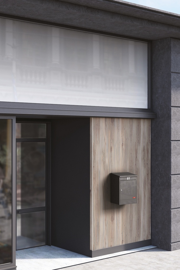 Buzón Paquetería Everest MINI